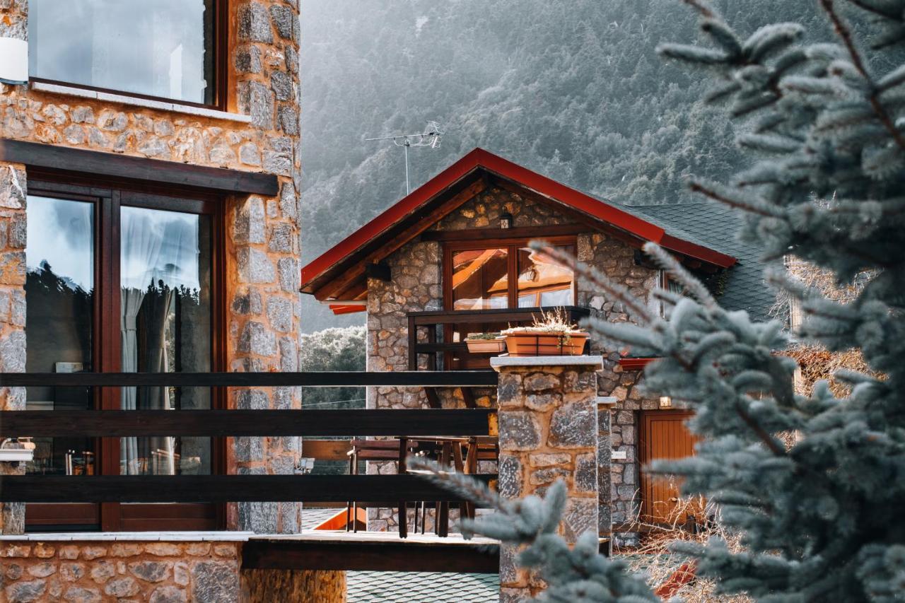 Vip Chalet 4 Seasons Arachova Exterior photo